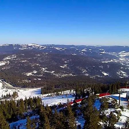 Village Bayerischer Wald Hotel Neukirchen (Lower Bavaria)