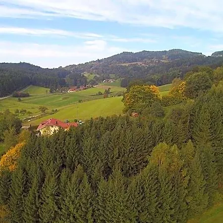 Village Bayerischer Wald Hotel Neukirchen (Lower Bavaria)