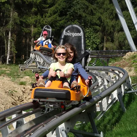 Village Bayerischer Wald Neukirchen (Lower Bavaria)