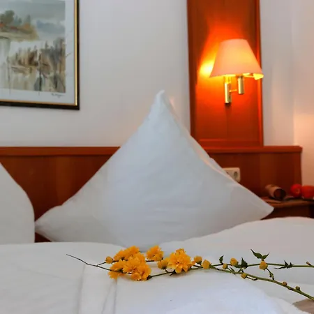 Hotell Bayerischer Wald Neukirchen (Lower Bavaria)