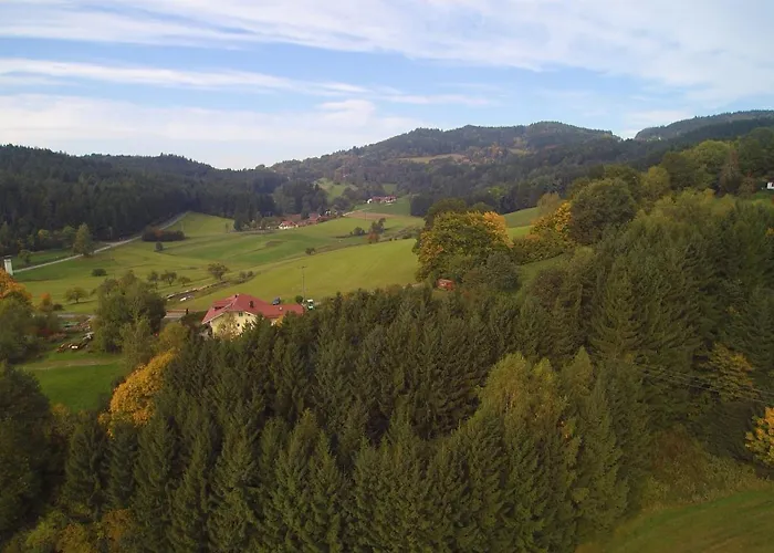 Village Bayerischer Wald Hotel 3*