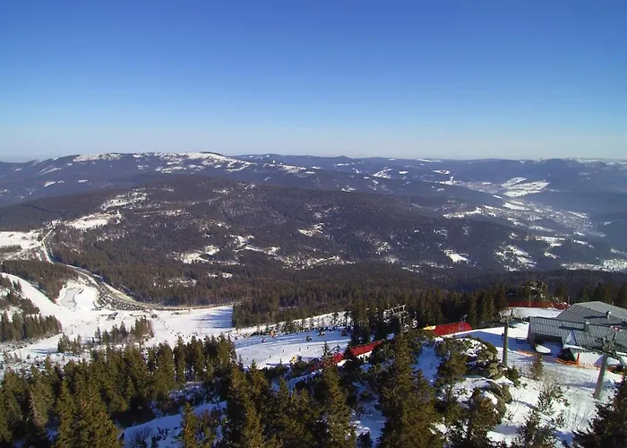 호텔 Village Bayerischer Wald